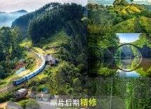 310足球彩票比分-探秘310足球彩票比分，激情与理性的交织之旅