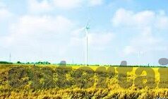 德州扑克大奖赛奖金-德州扑克大奖赛奖金，竞技与策略的完美融合